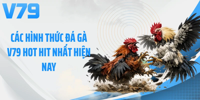 Các hình thức đá gà V79 hot hit nhất hiện nay