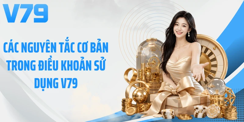 Các nguyên tắc cơ bản trong điều khoản sử dụng V79